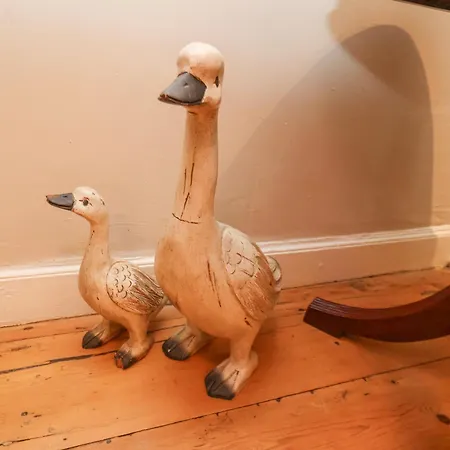 Tatil Evi Foresters House Whitby